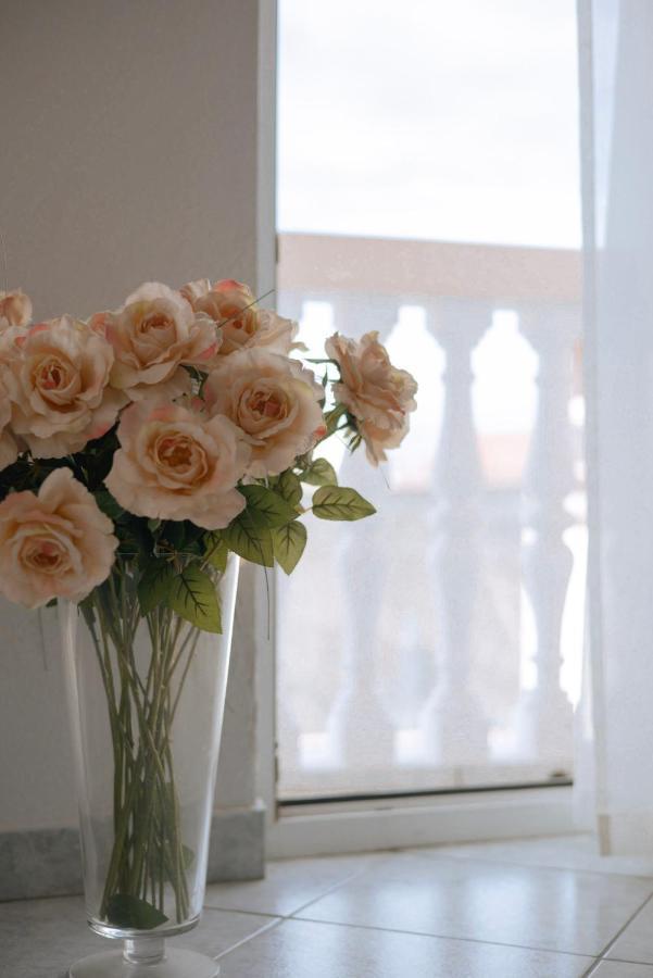 Garden House Vodice Apartment Ngoại thất bức ảnh