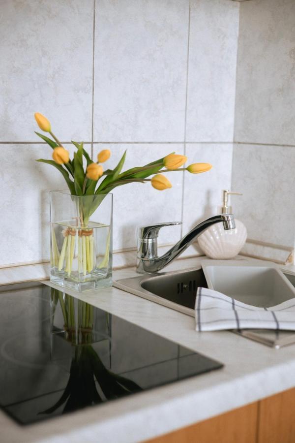 Garden House Vodice Apartment Ngoại thất bức ảnh